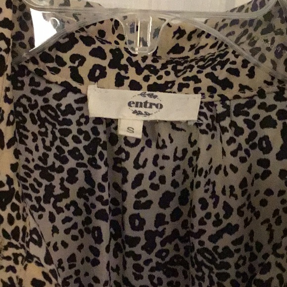 Entro - Picture 3 of 5